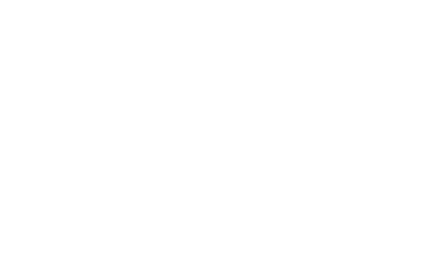 Gato Mojado